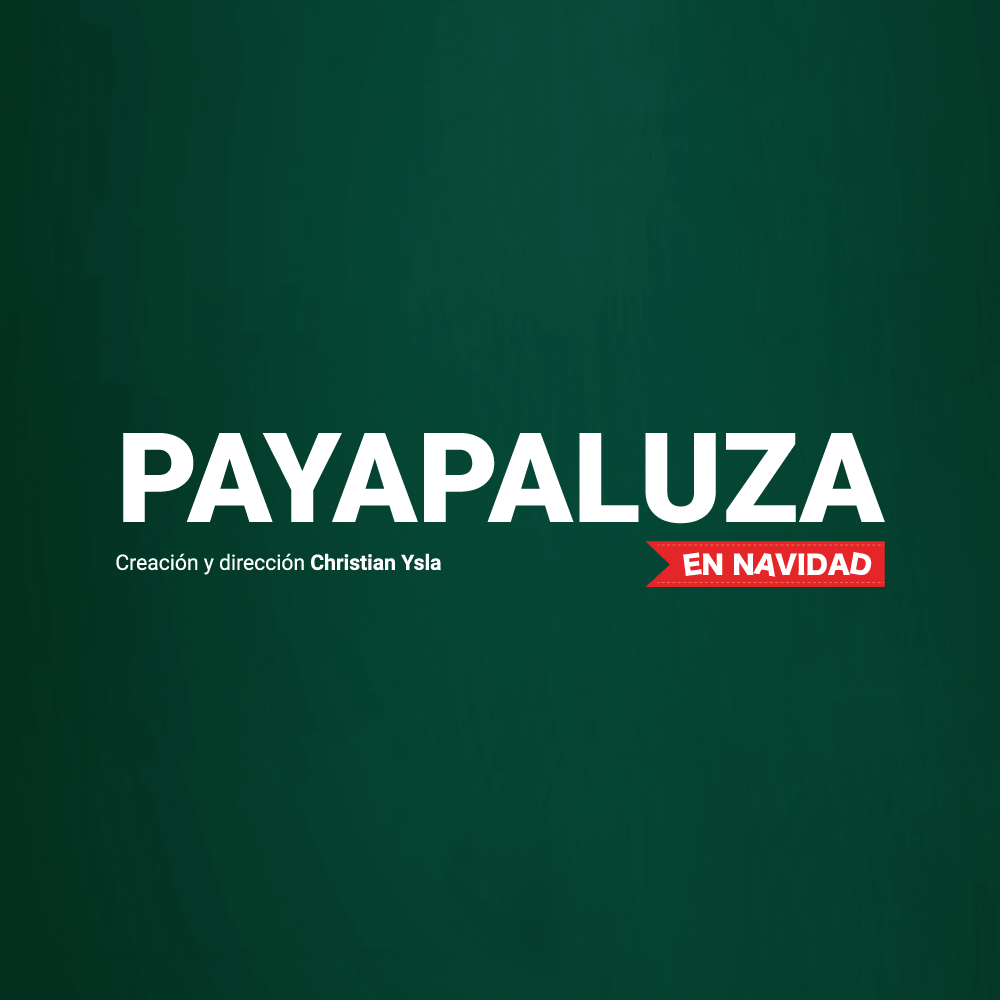 Afiche_PG-Acompanamiento-Mobile_Payapaluza-2024