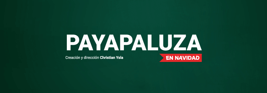 Afiche_PG-Acompanamiento_Payapaluza-2024